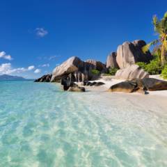 Ja, so wie auf diesem Strandfoto sieht es auf den Seychellen wirklich aus. Was man dort außer Relaxen und Schnorcheln noch alles tun kann, erfahren Sie in unserem Artikel.