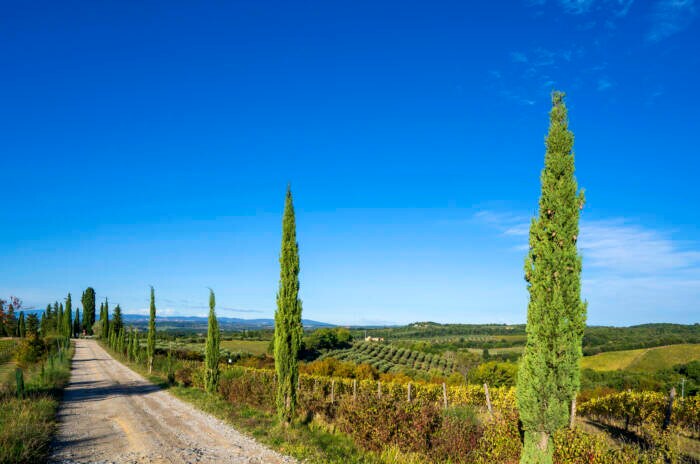 Vacaciones en Toscana: los mejores destinos y consejos de viaje