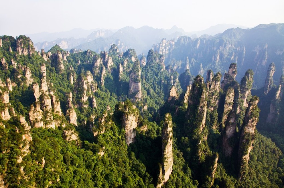 Local authorities in Zhangjiajie confirm deaths of four people after  jumping from Chinas Avatar mountain  Global Times